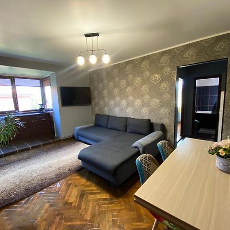 Comfort Home Apartment 2 Petroşani Eksteriør billede